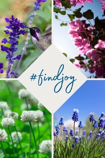 Photo collage with flowers and hummingbird, with text overlay: find joy