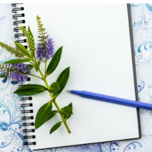 Photo of a journal & flowers